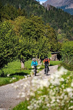 Alpe Adria cycle path - Carnia-Paluzza-Finanziato dal Fondo europeo di sviluppo regionale e Interreg V-A Italia-Austria 2014-2020 progetto BIKE NAT