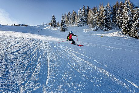 Ski in Friuli Venezia Giulia