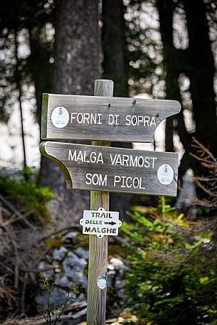 Varmost - Forni di Sopra