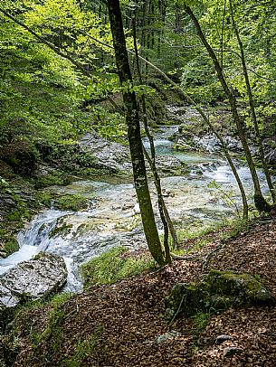Val d'Arzino Val d'Arzino